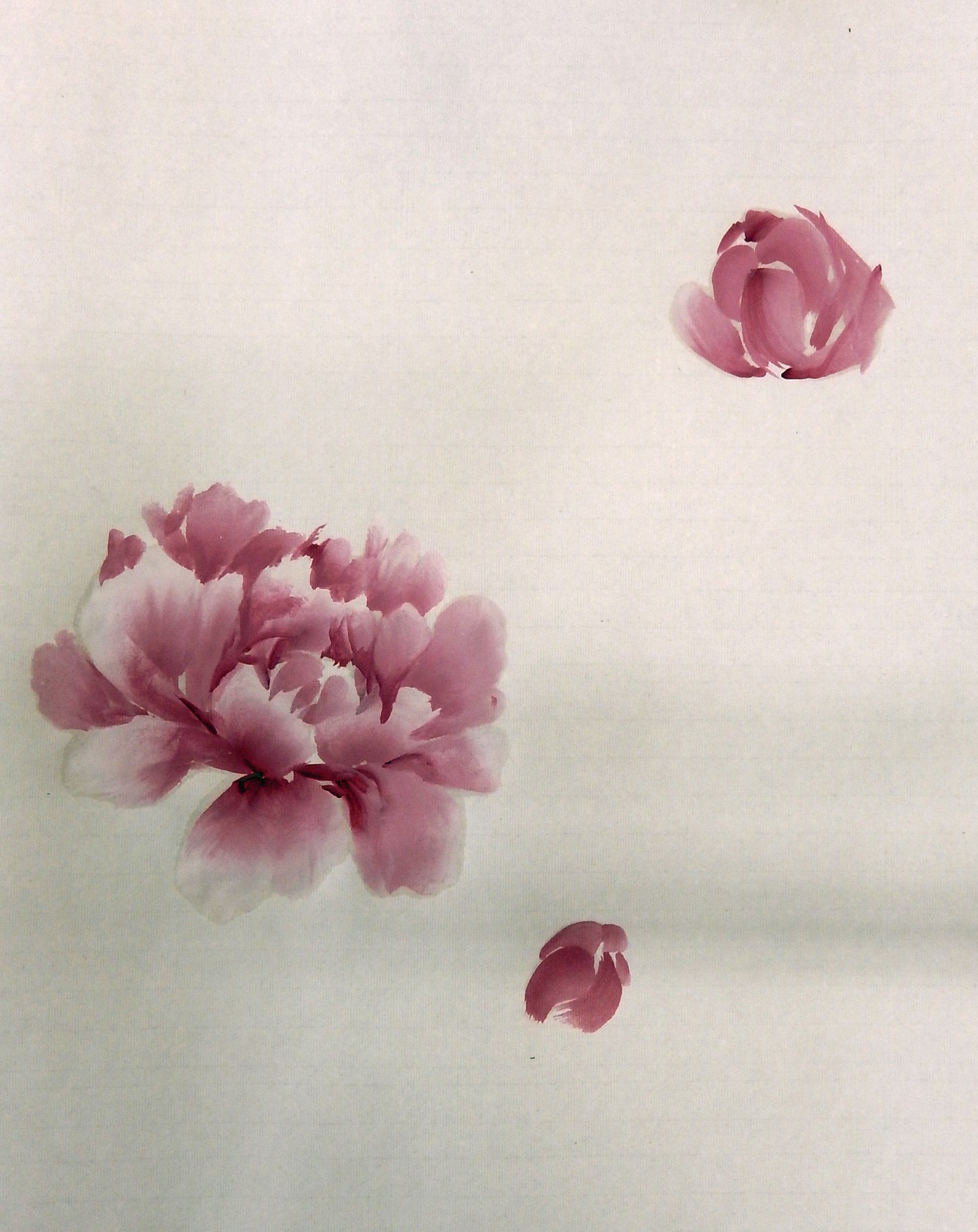 Peonies- FREE taster video