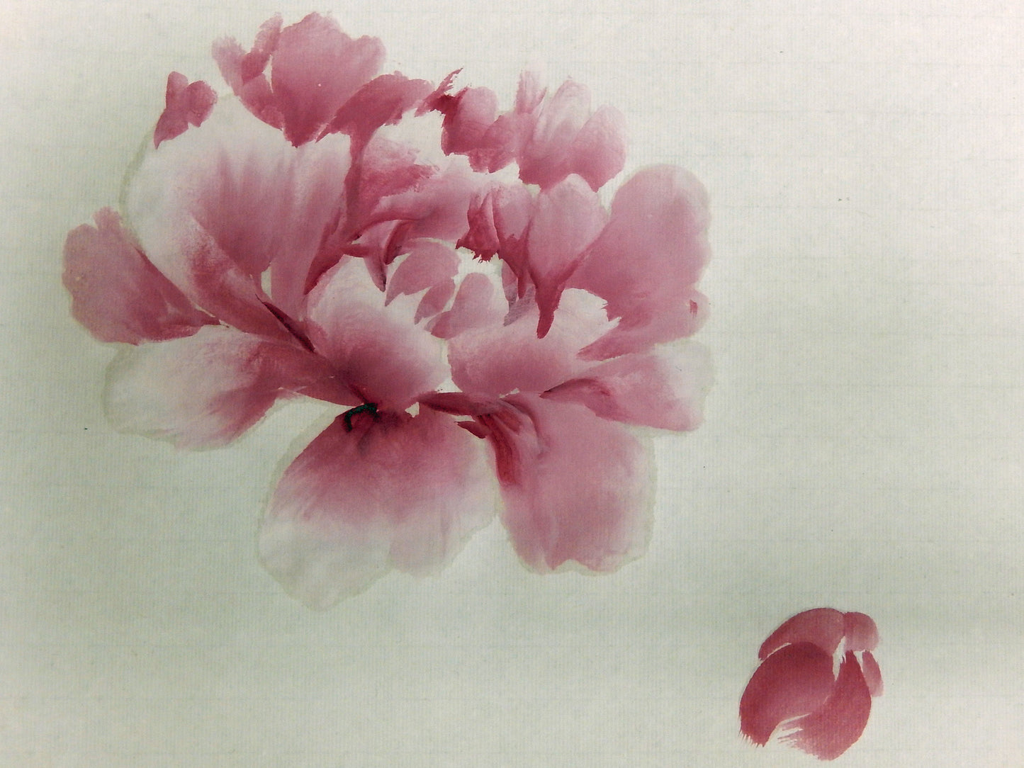 Peonies- FREE taster video