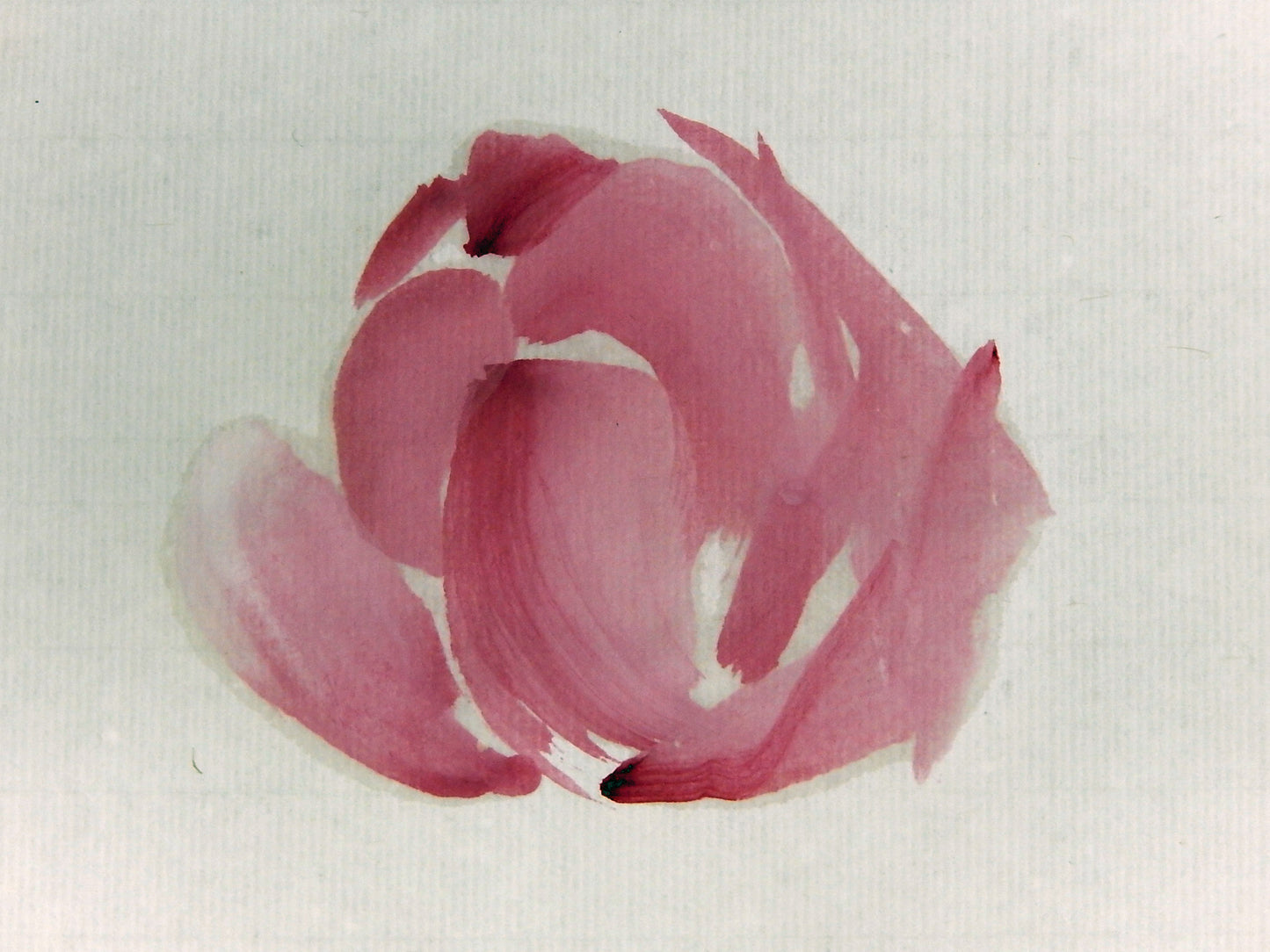 Peonies- FREE taster video