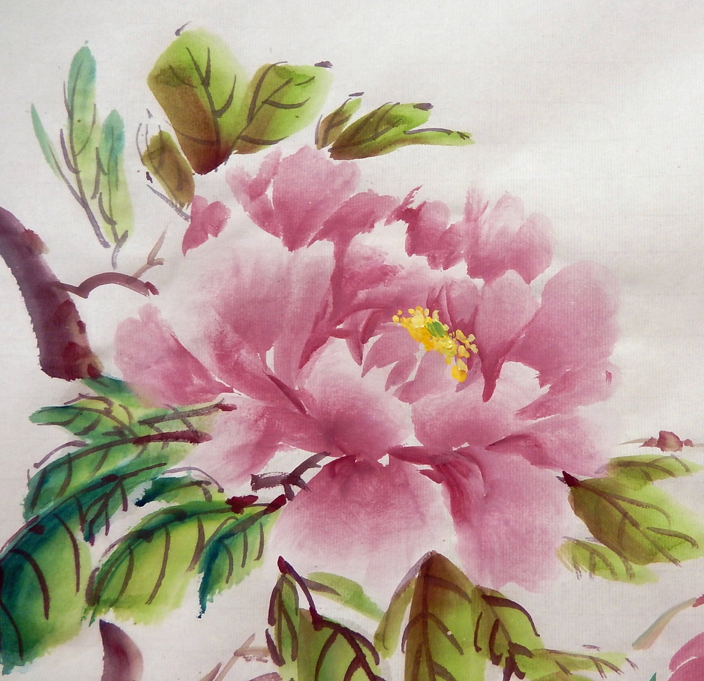 Peonies- FREE taster video