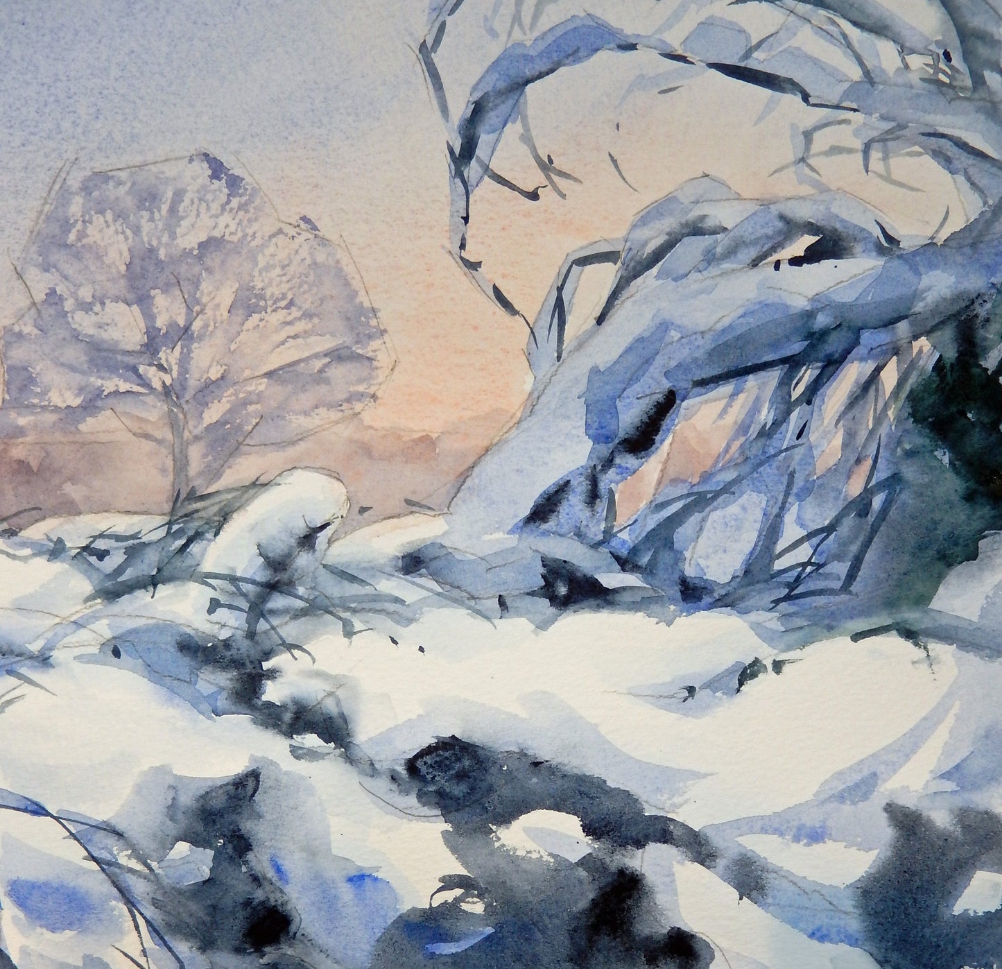 Under the Snowy Blanket