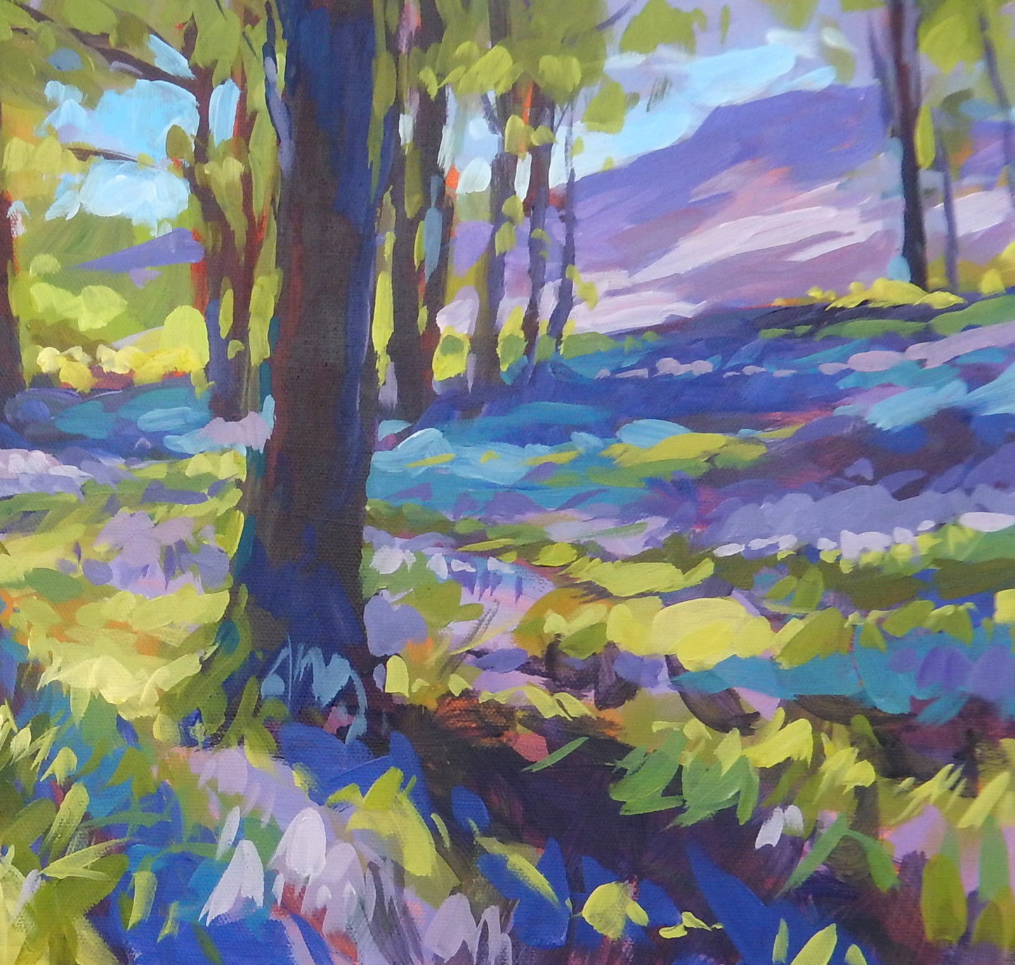 Bluebells at the Lakes