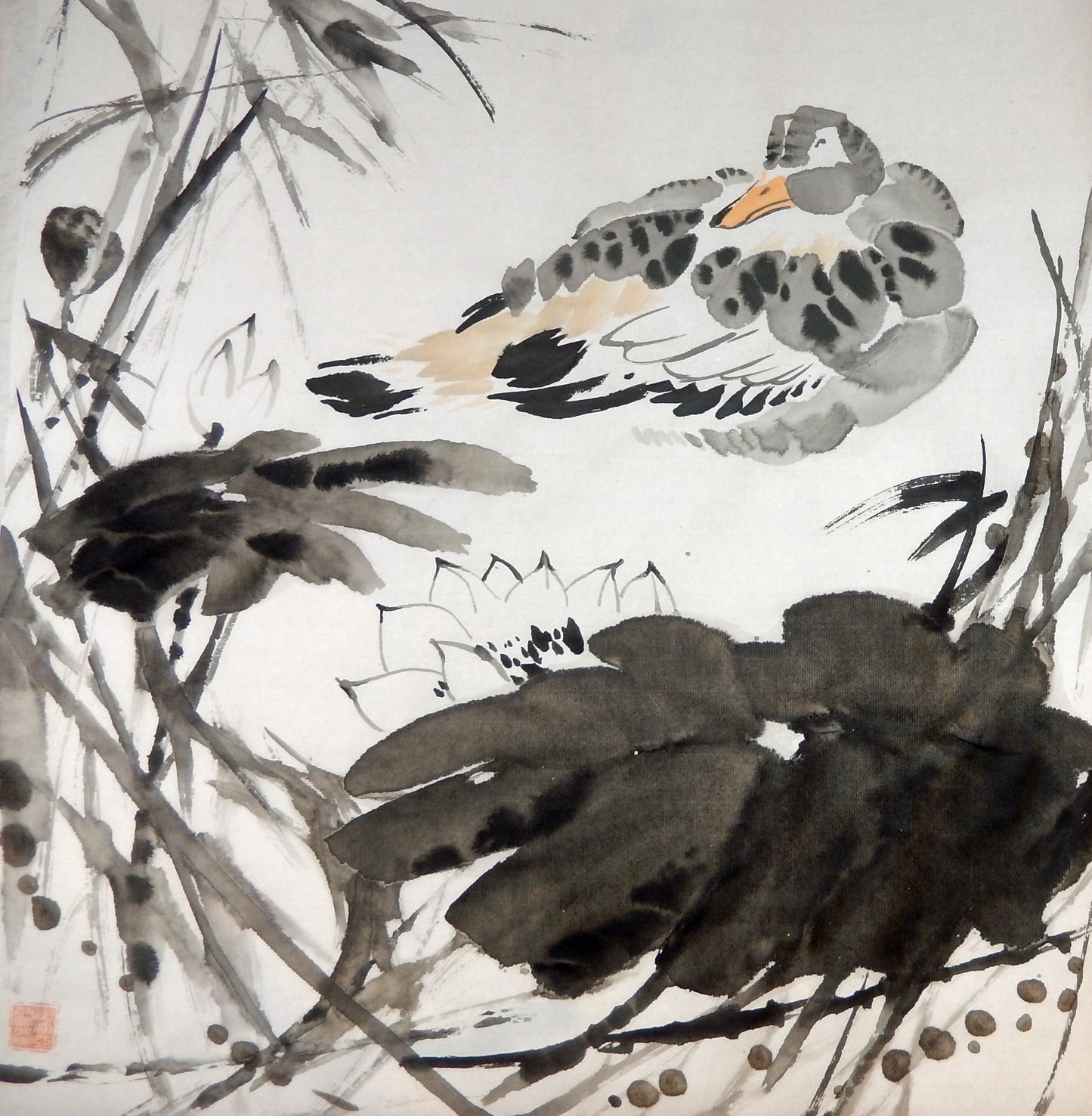 Ducks