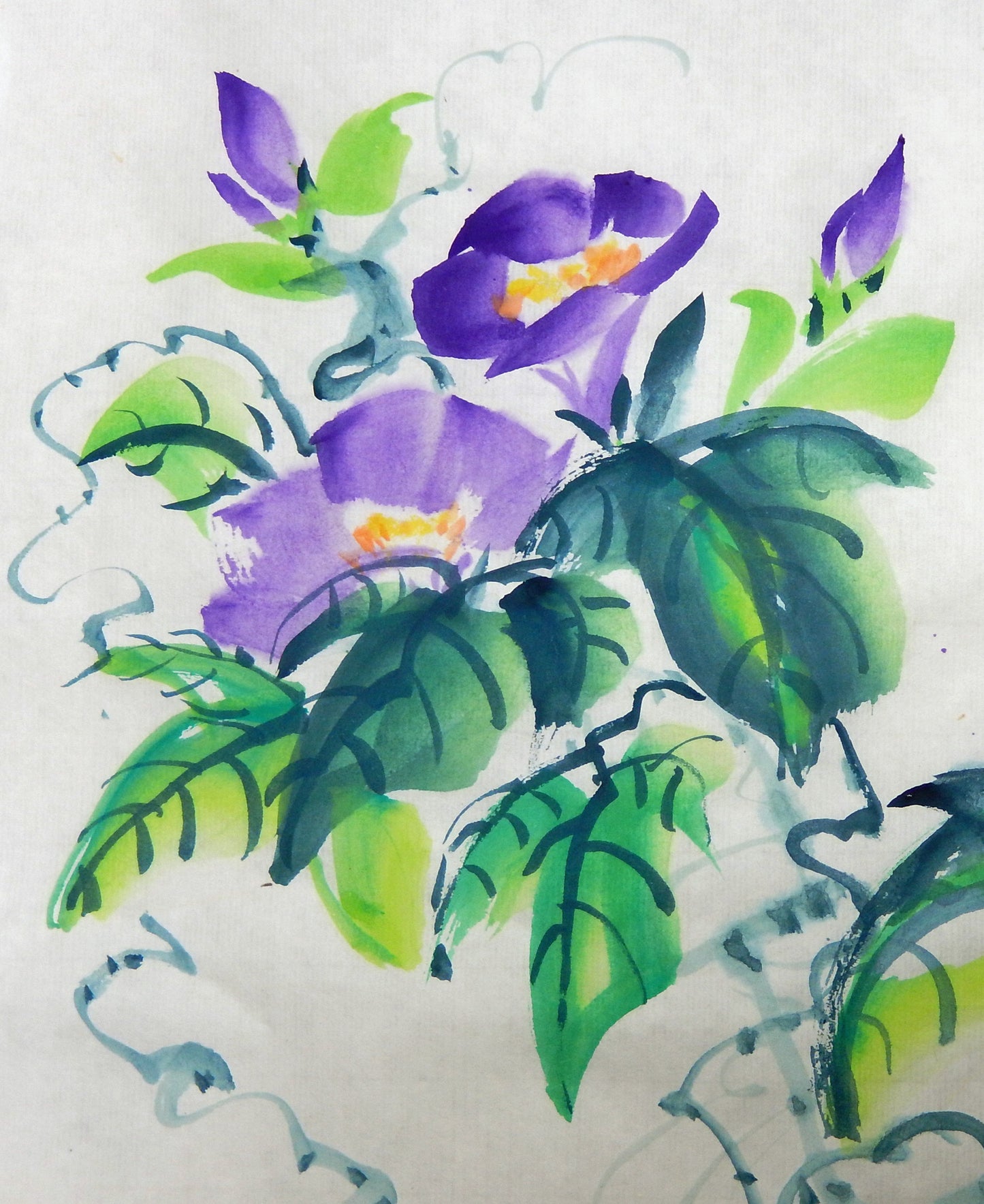 Climber Plant and Bees