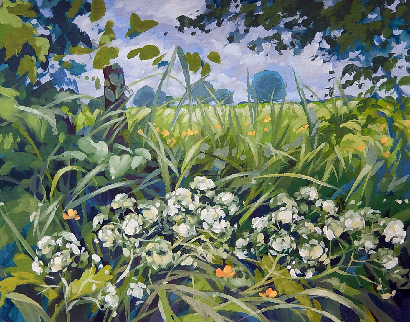Cow Parsley