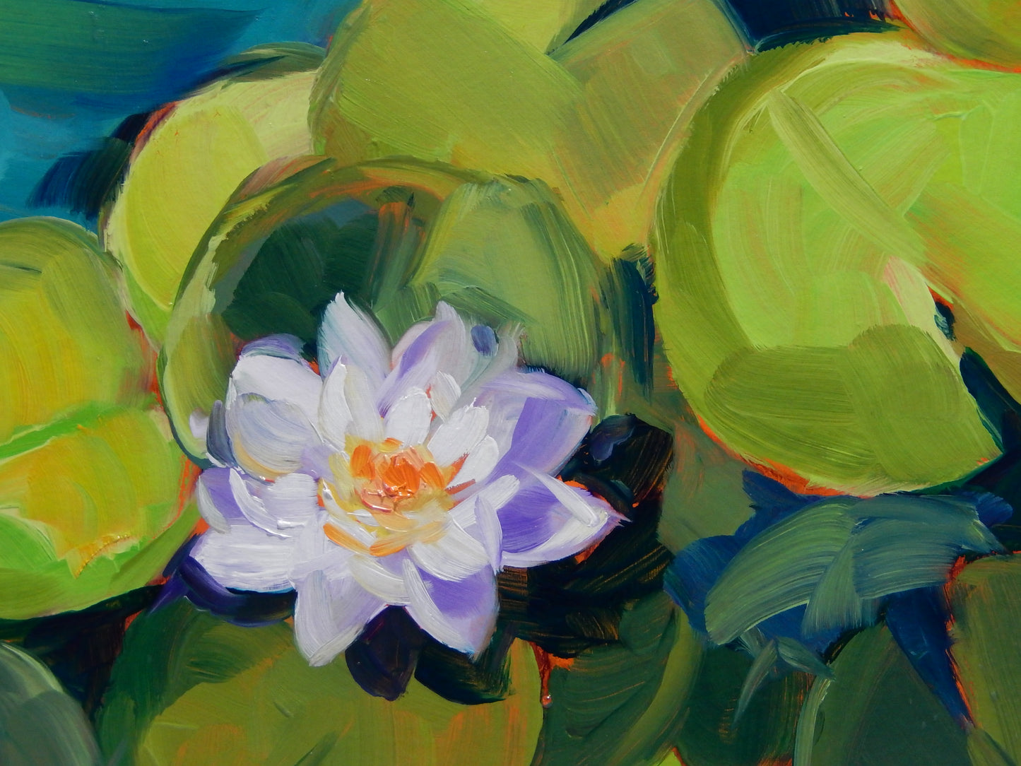 Water Lilies
