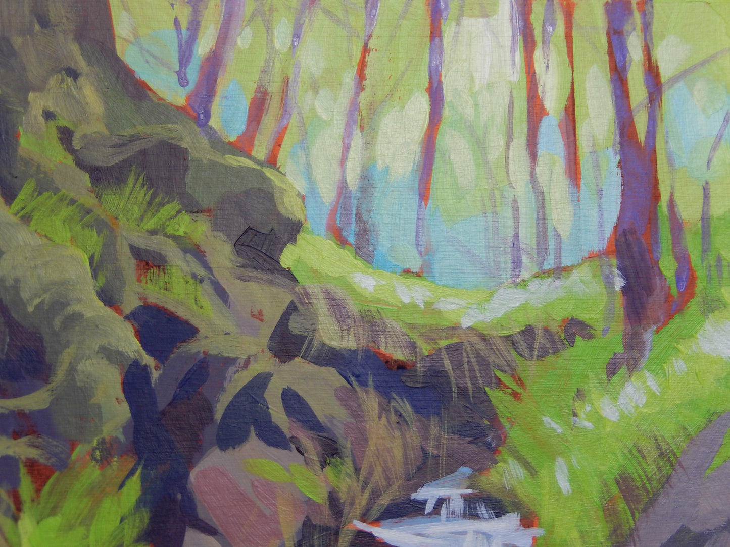 Spring in the Woods