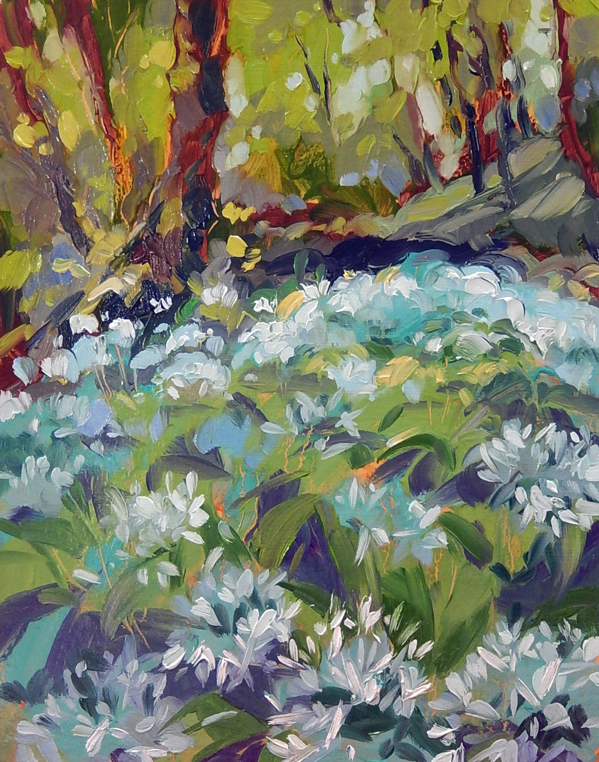 Wild Garlic Flowers 2