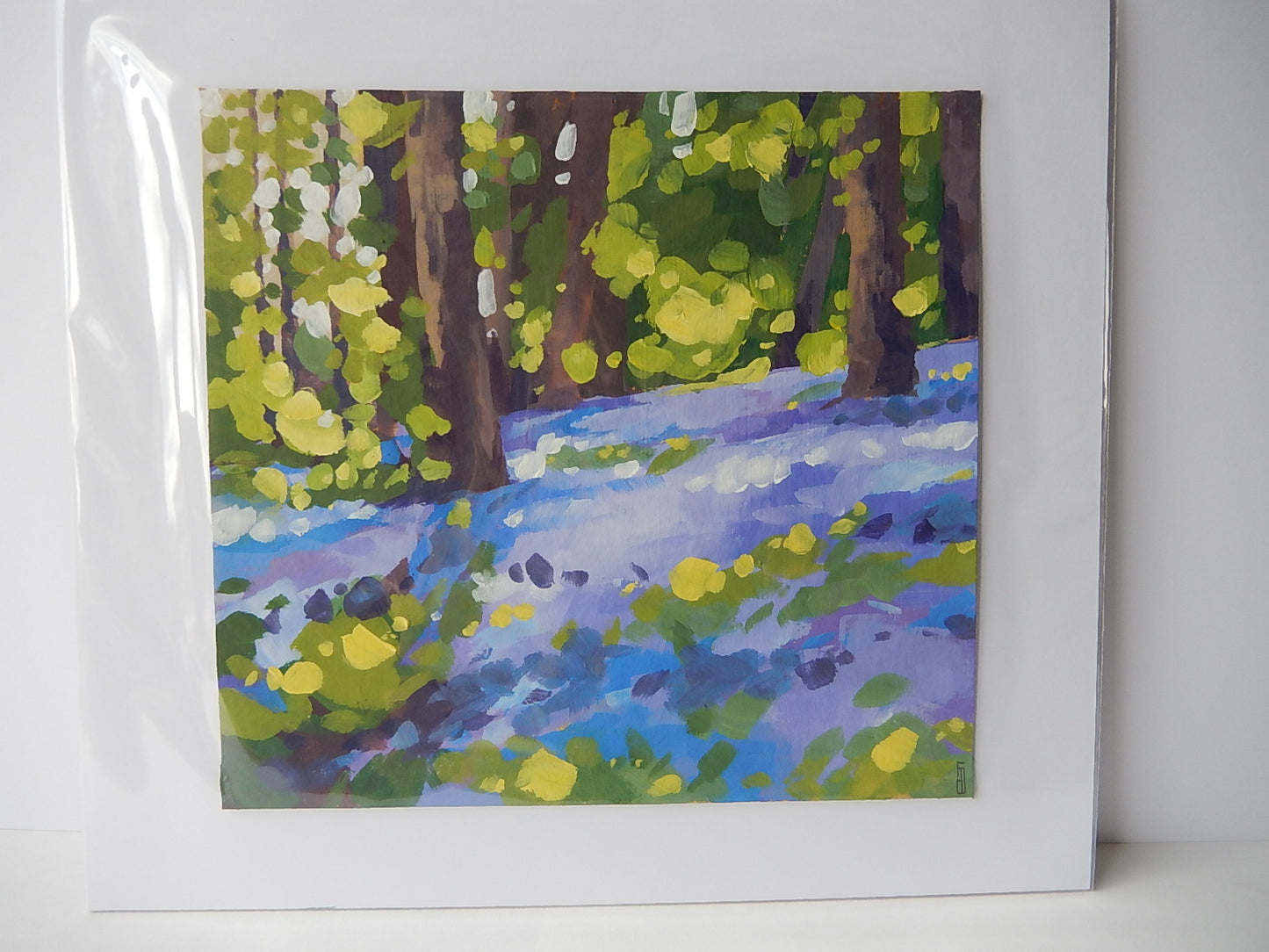 Bluebells