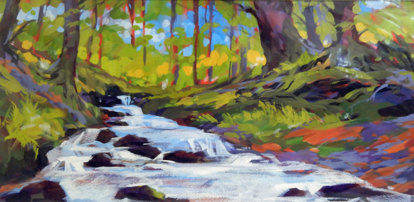 Spring in the Woods