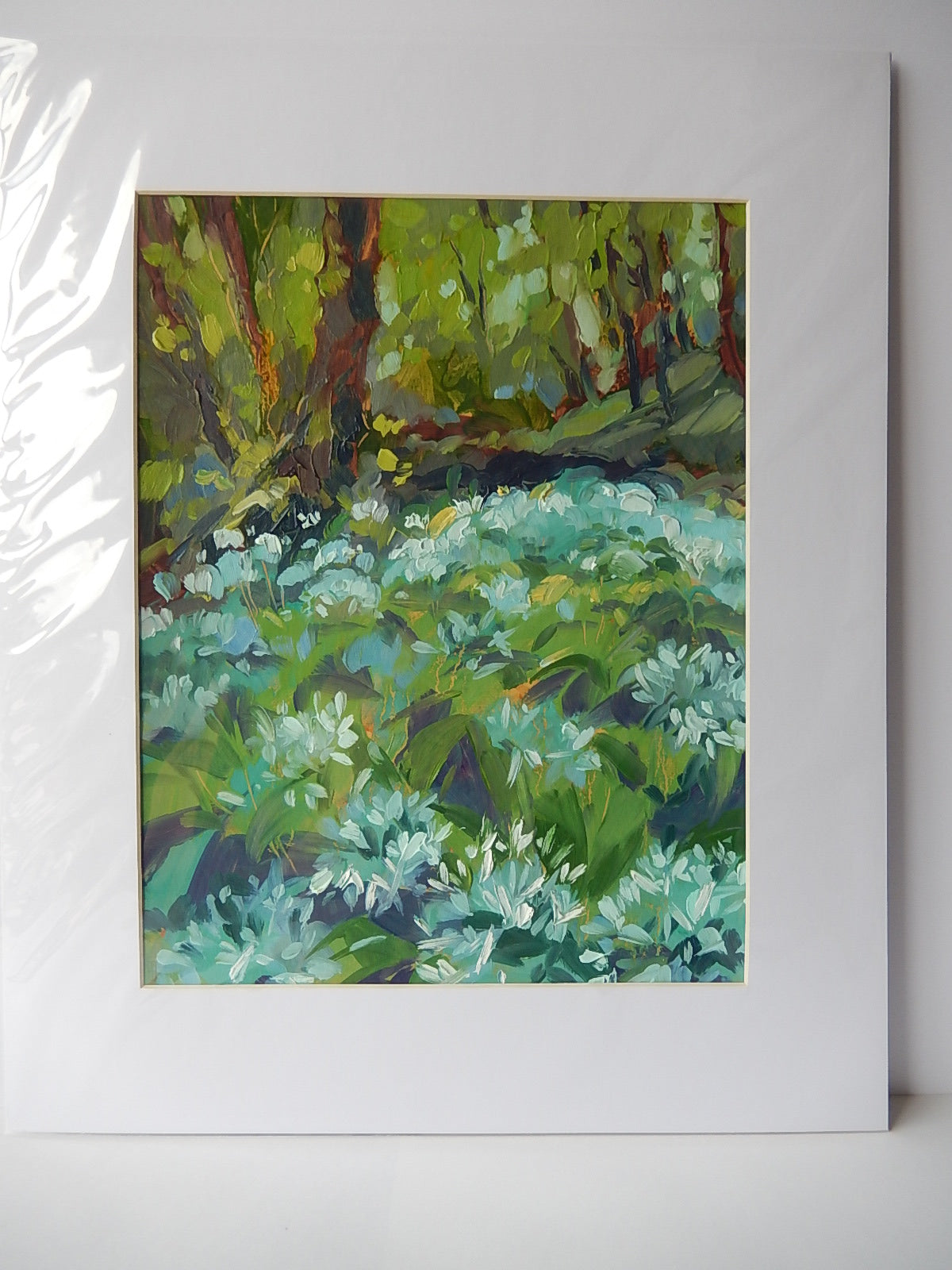 Wild Garlic Flowers 2
