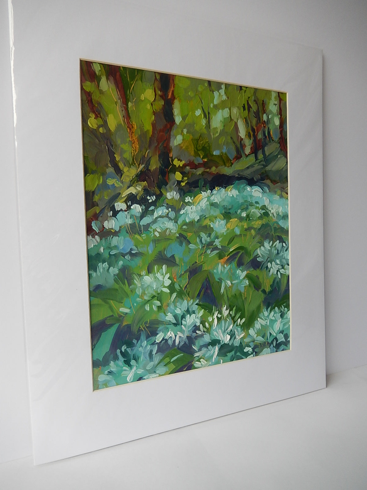 Wild Garlic Flowers 2