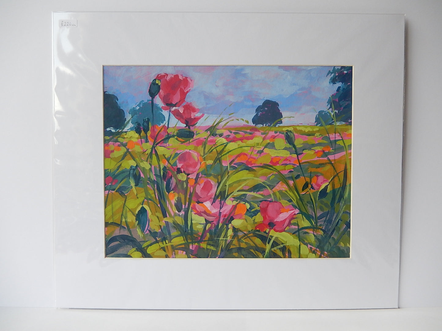 Poppies Field