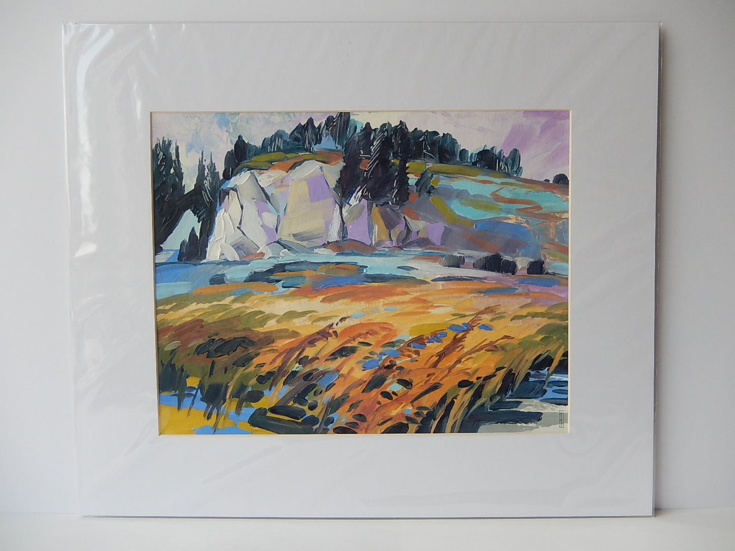 Northern Landscape