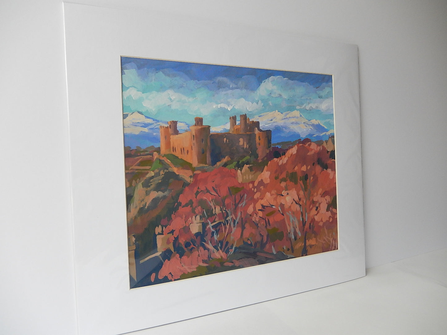 Harlech Castle, November
