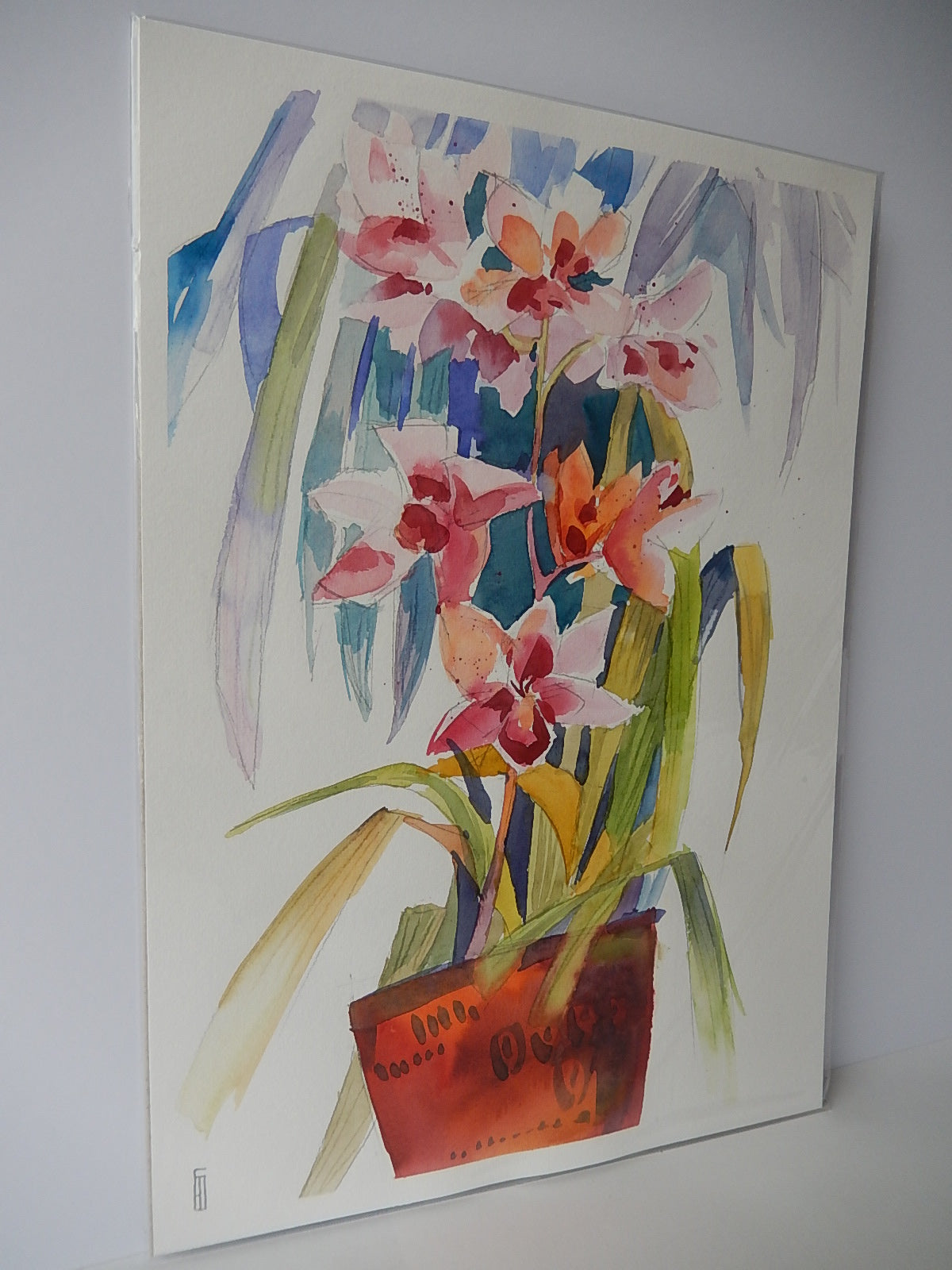 Orchid