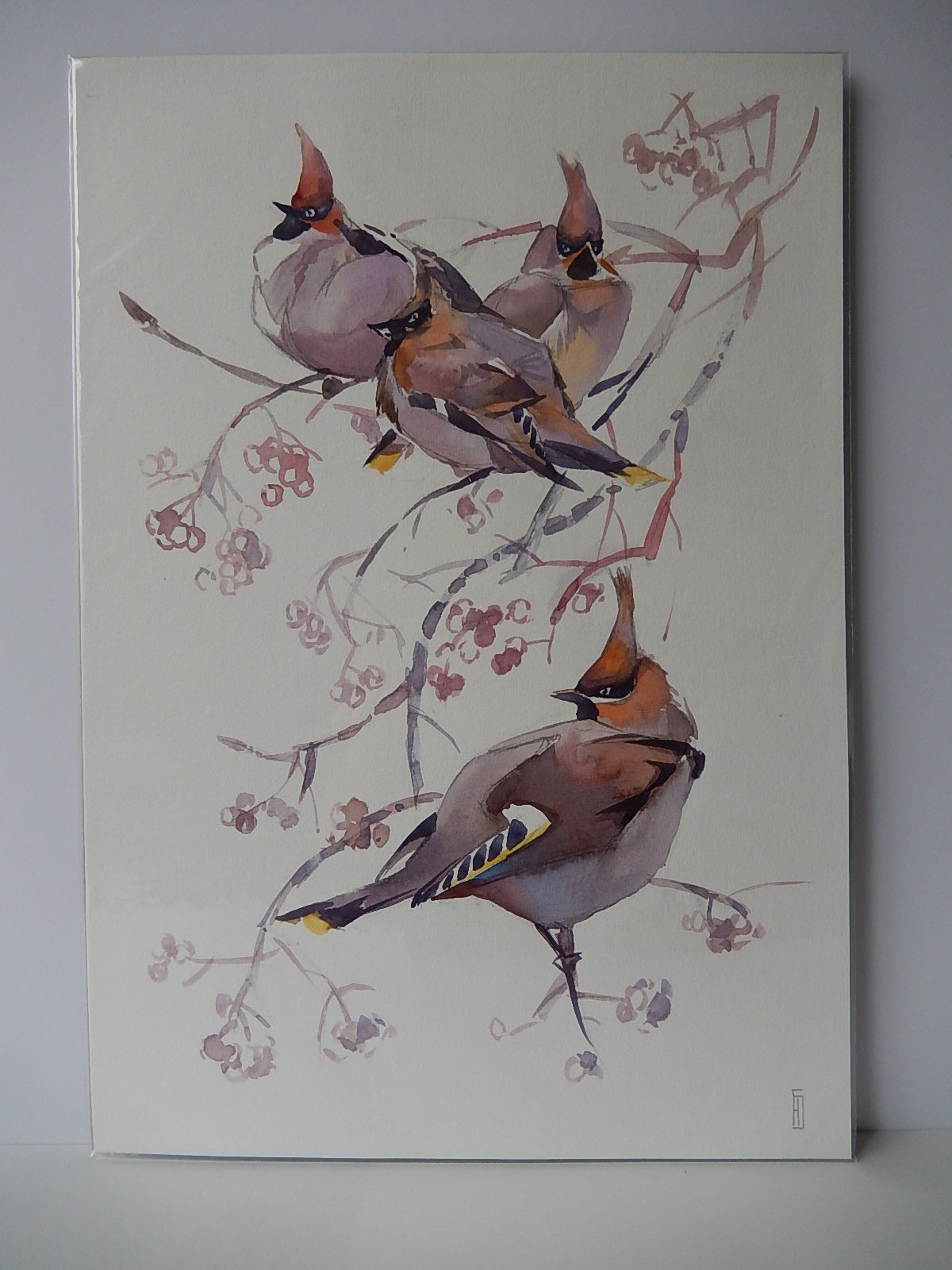 Waxwings