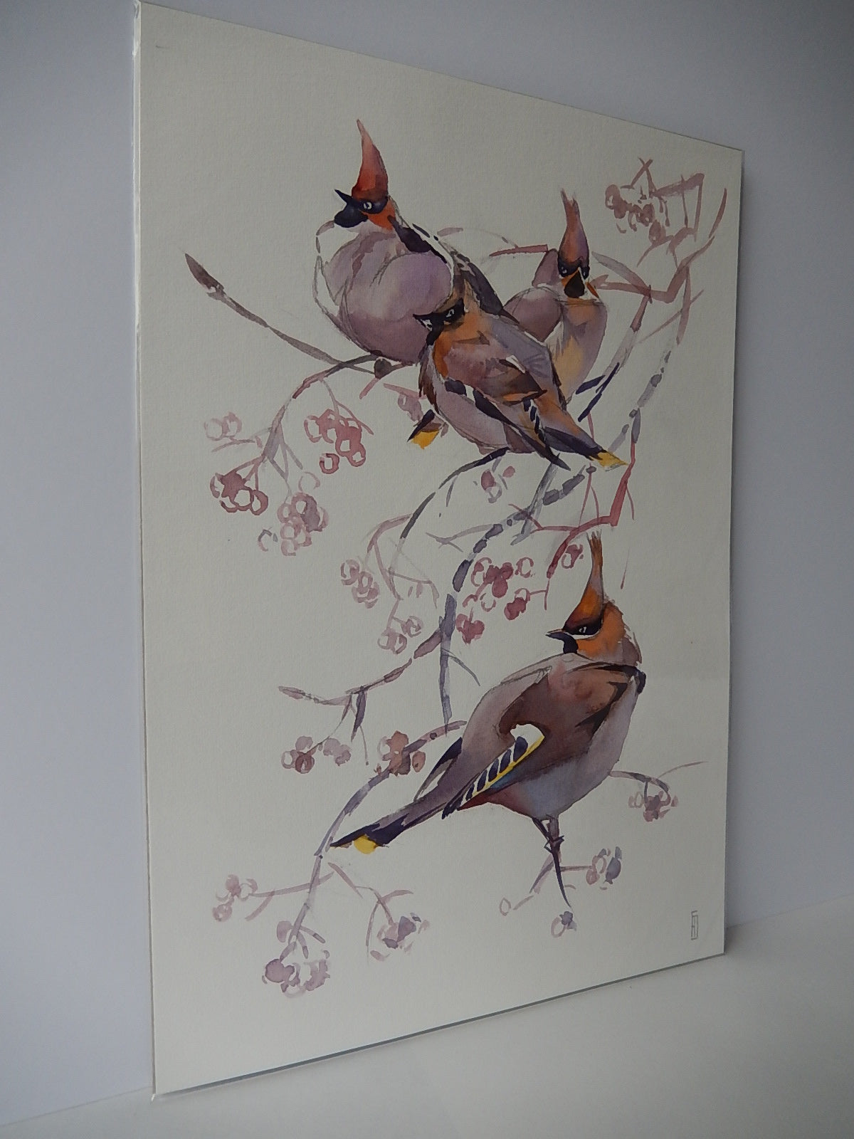 Waxwings