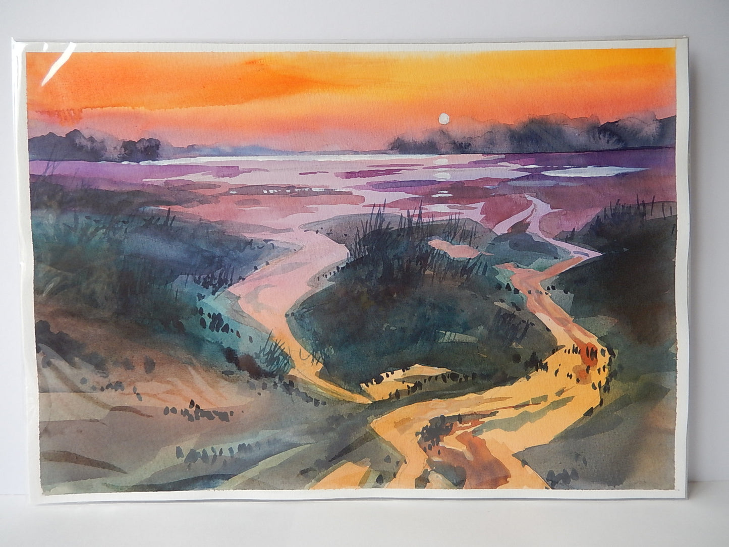 Marshland Reflections