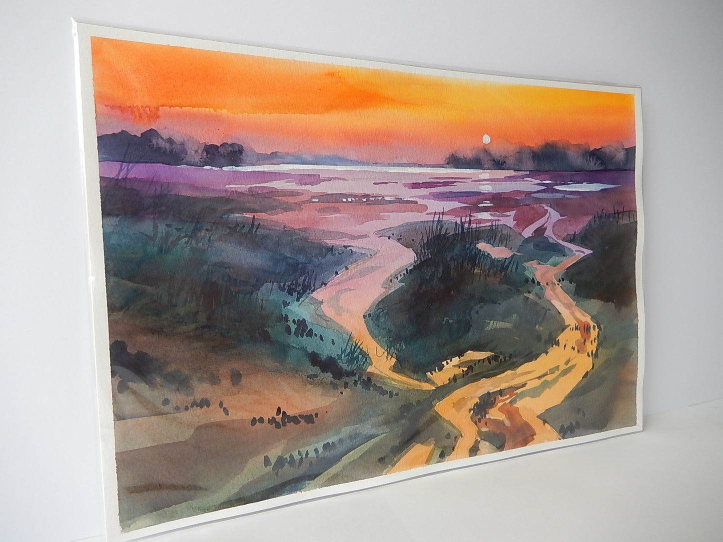 Marshland Reflections