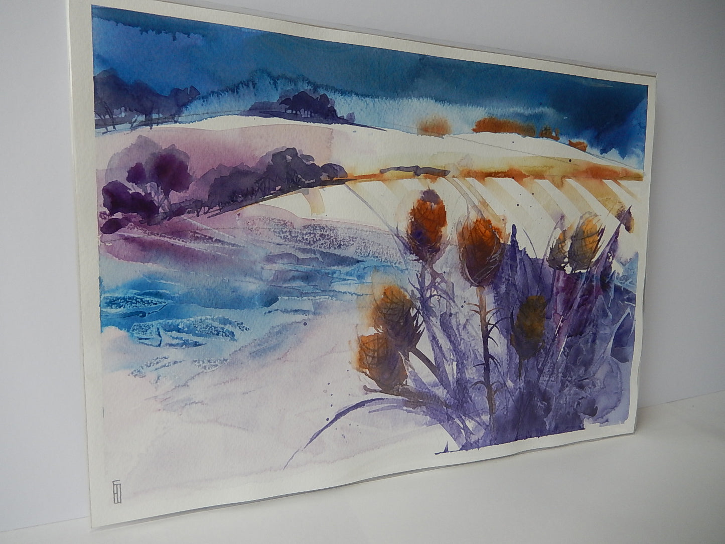 Winter Fields