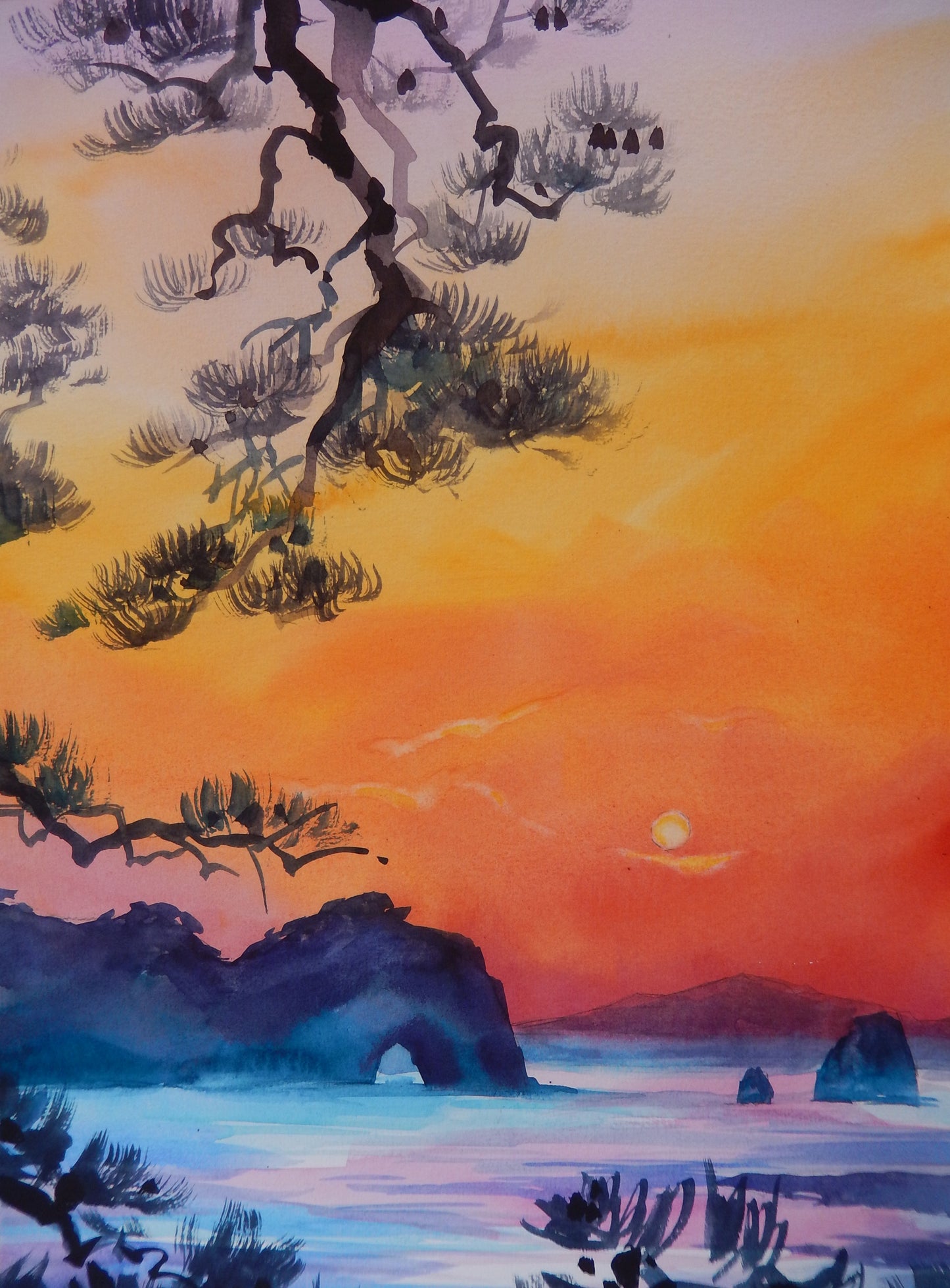 Sunset with a Pine