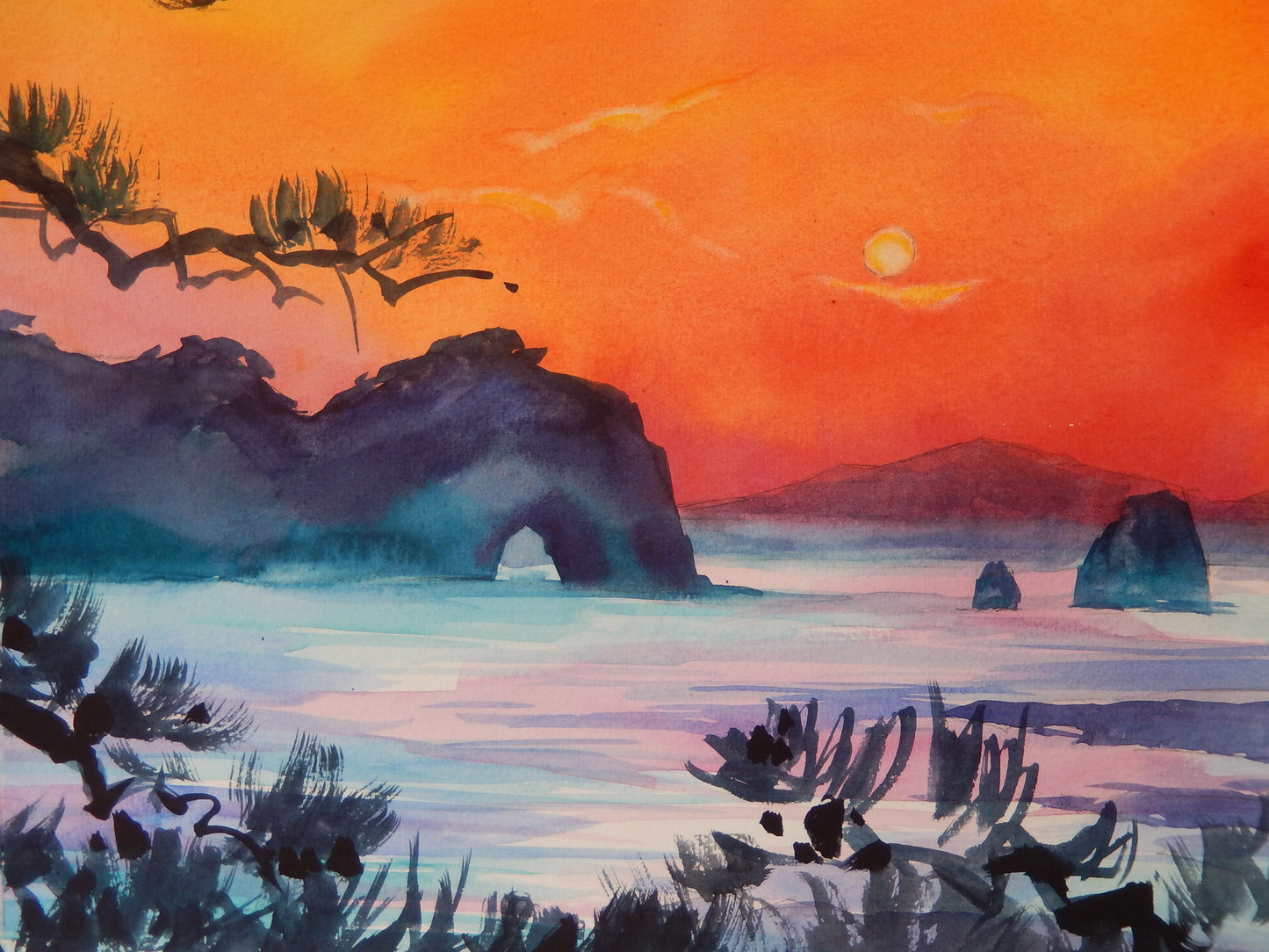 Sunset with a Pine