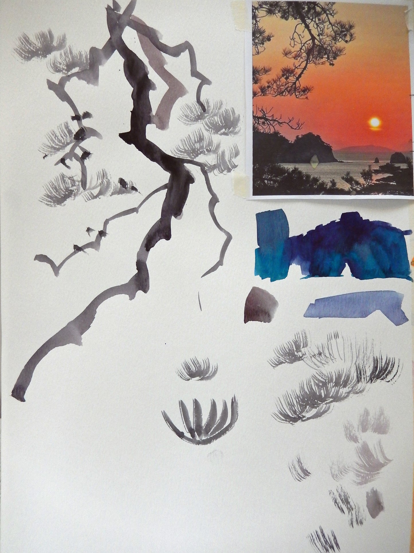 Sunset with a Pine
