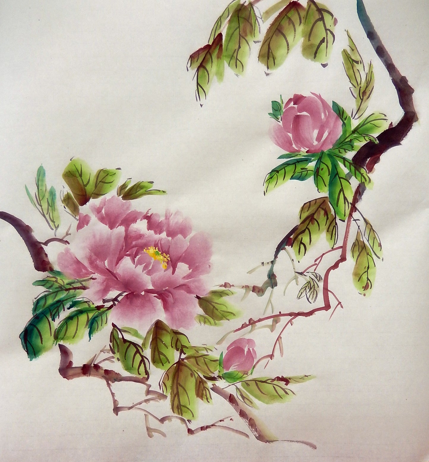 Peonies- FREE taster video