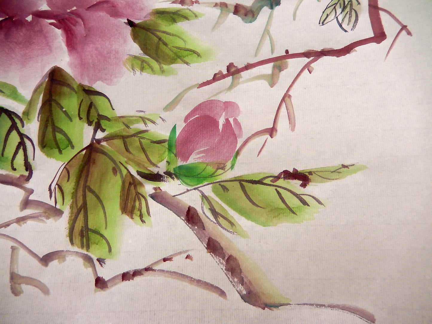 Peonies- FREE taster video
