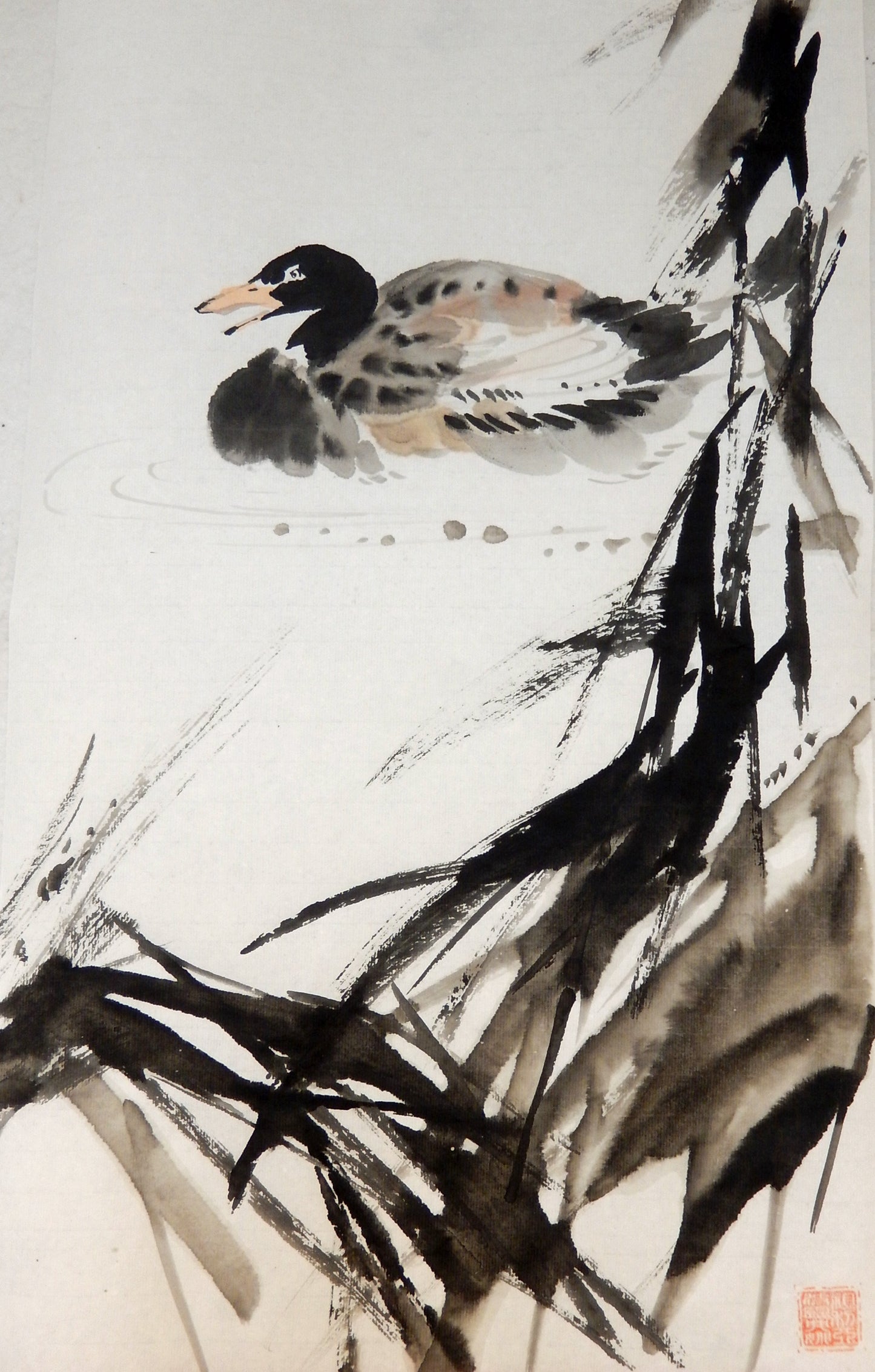 Ducks
