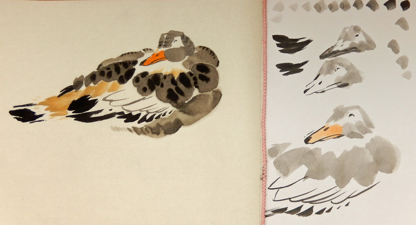 Ducks