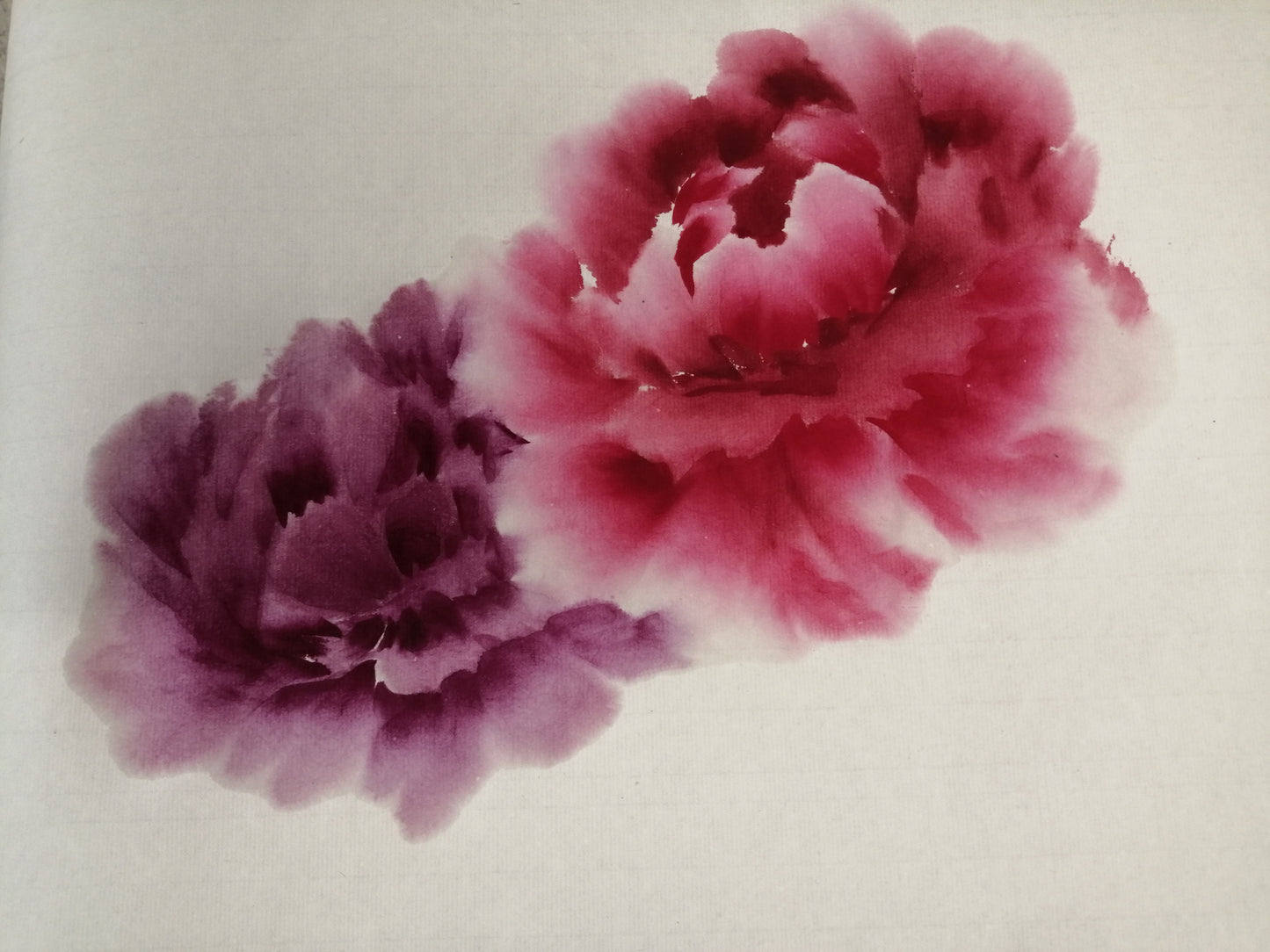 Peonies, bees and butterflies