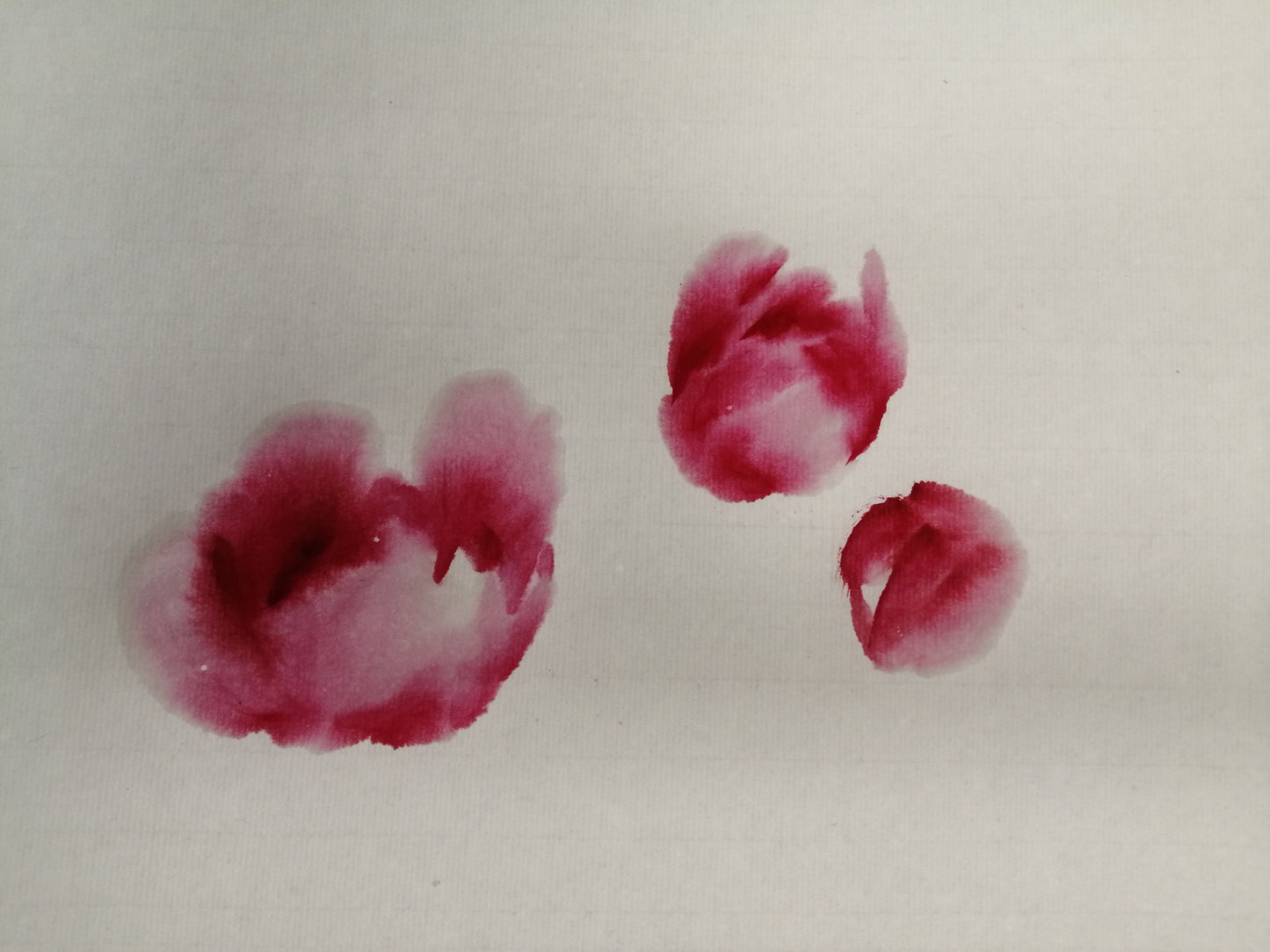 Peonies, bees and butterflies