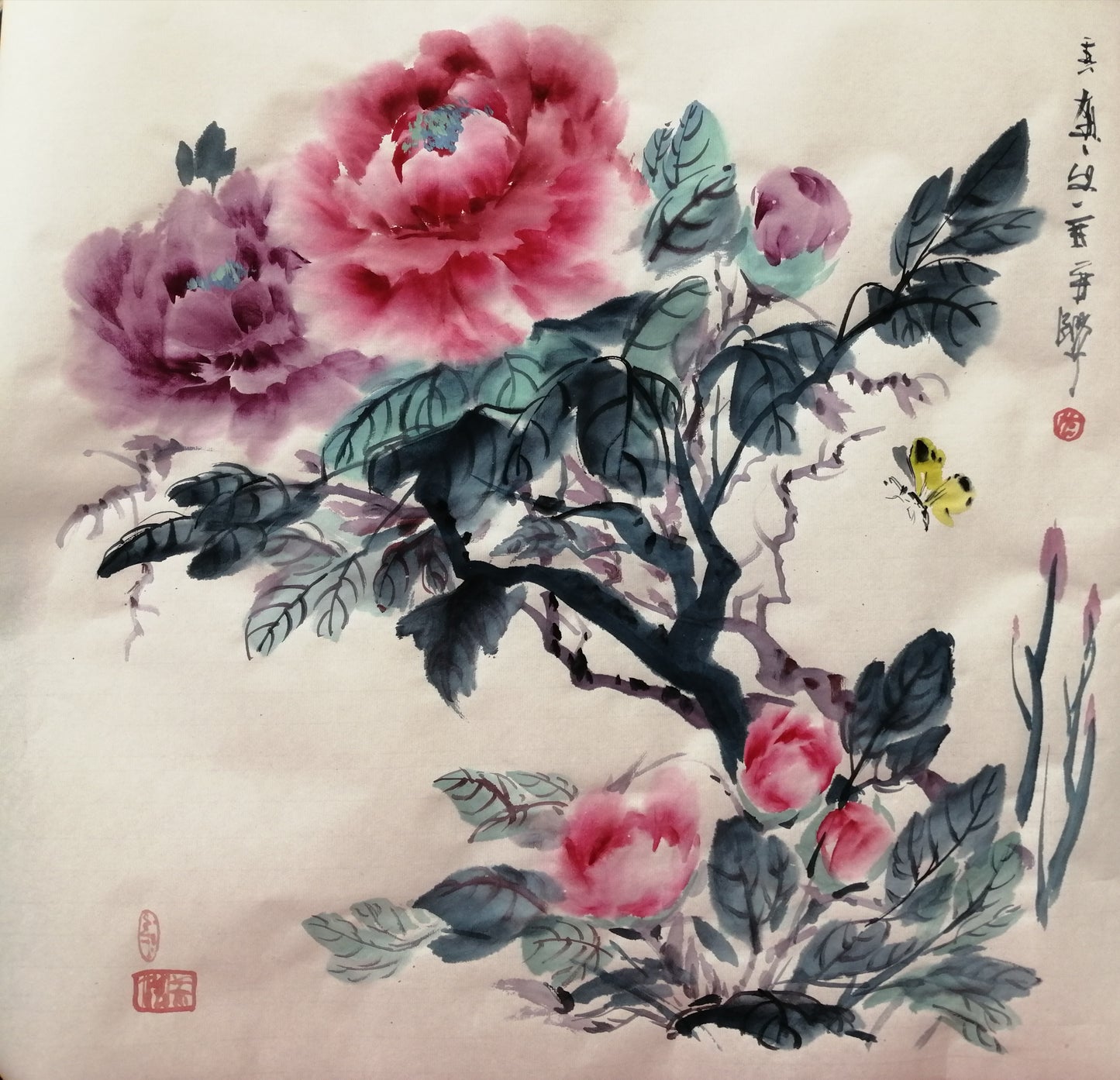 Peonies, bees and butterflies