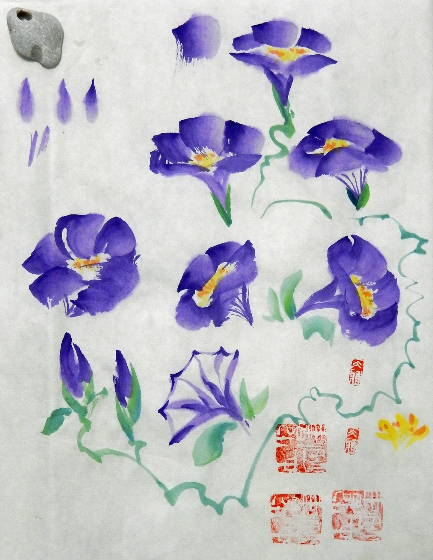 Climber Plant and Bees