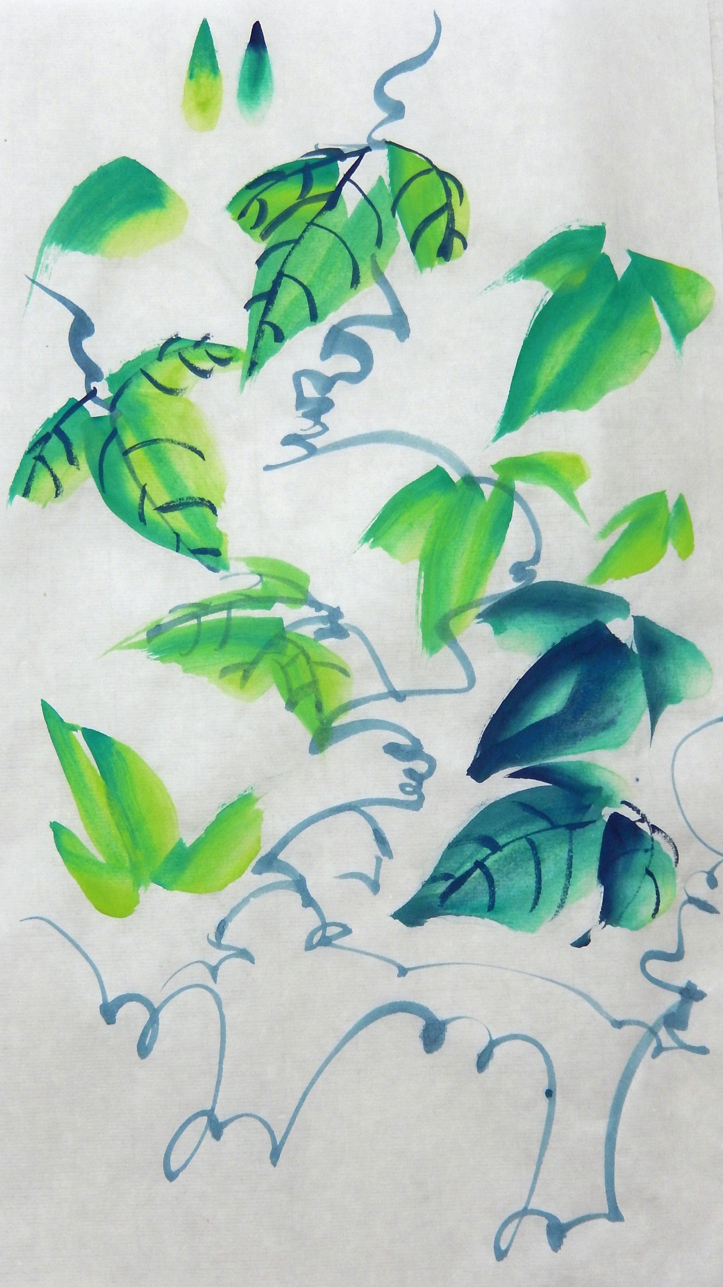 Climber Plant and Bees