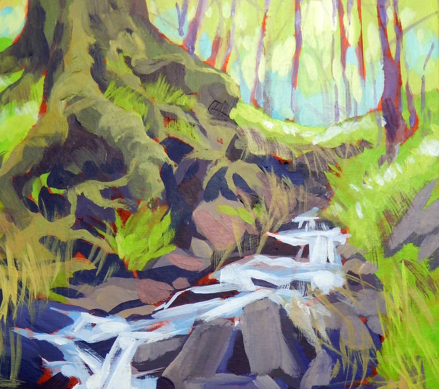 Spring in the Woods