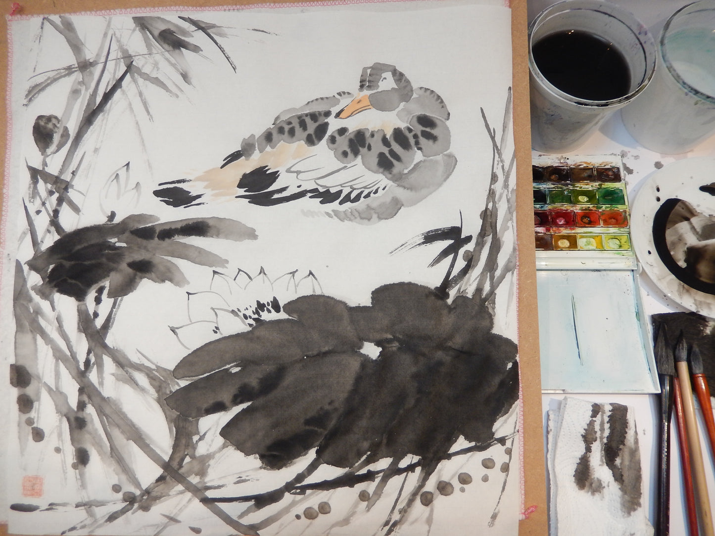 Ducks