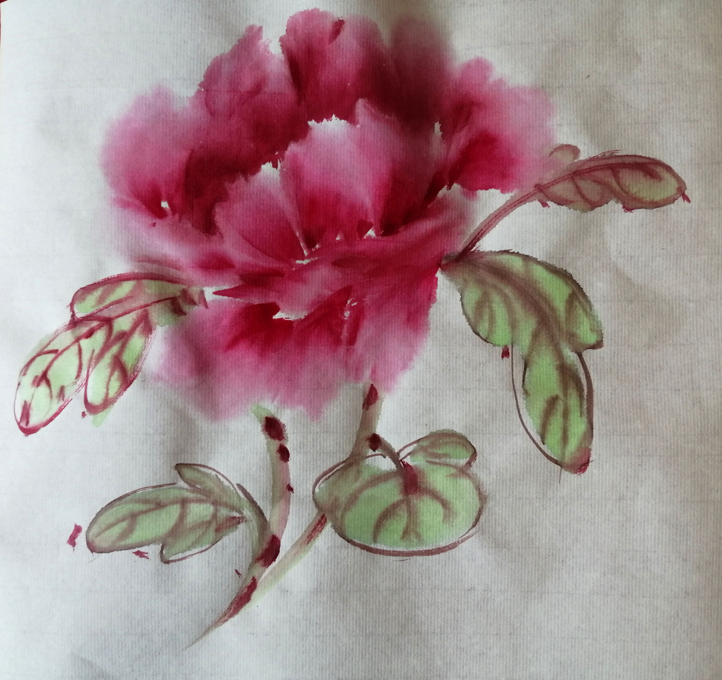 Peonies, bees and butterflies