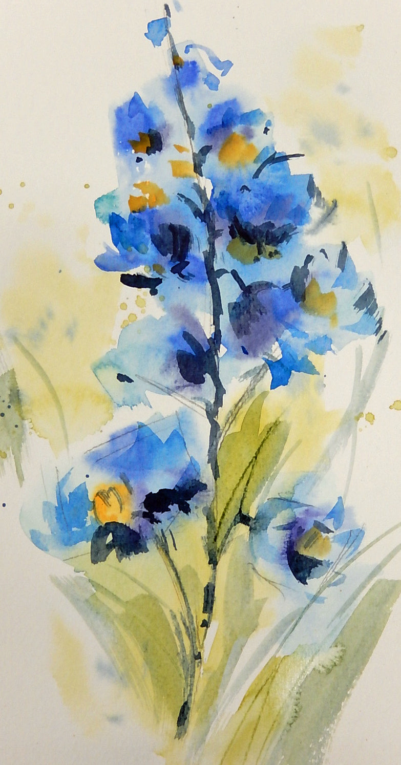 Delphinium