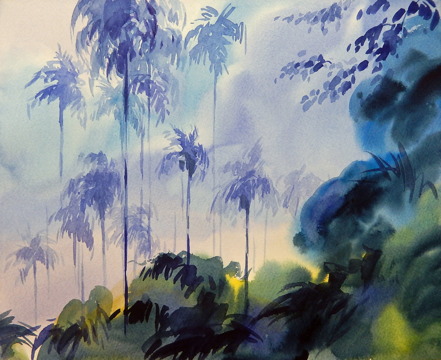 Jungle after Sudhu Aliyur