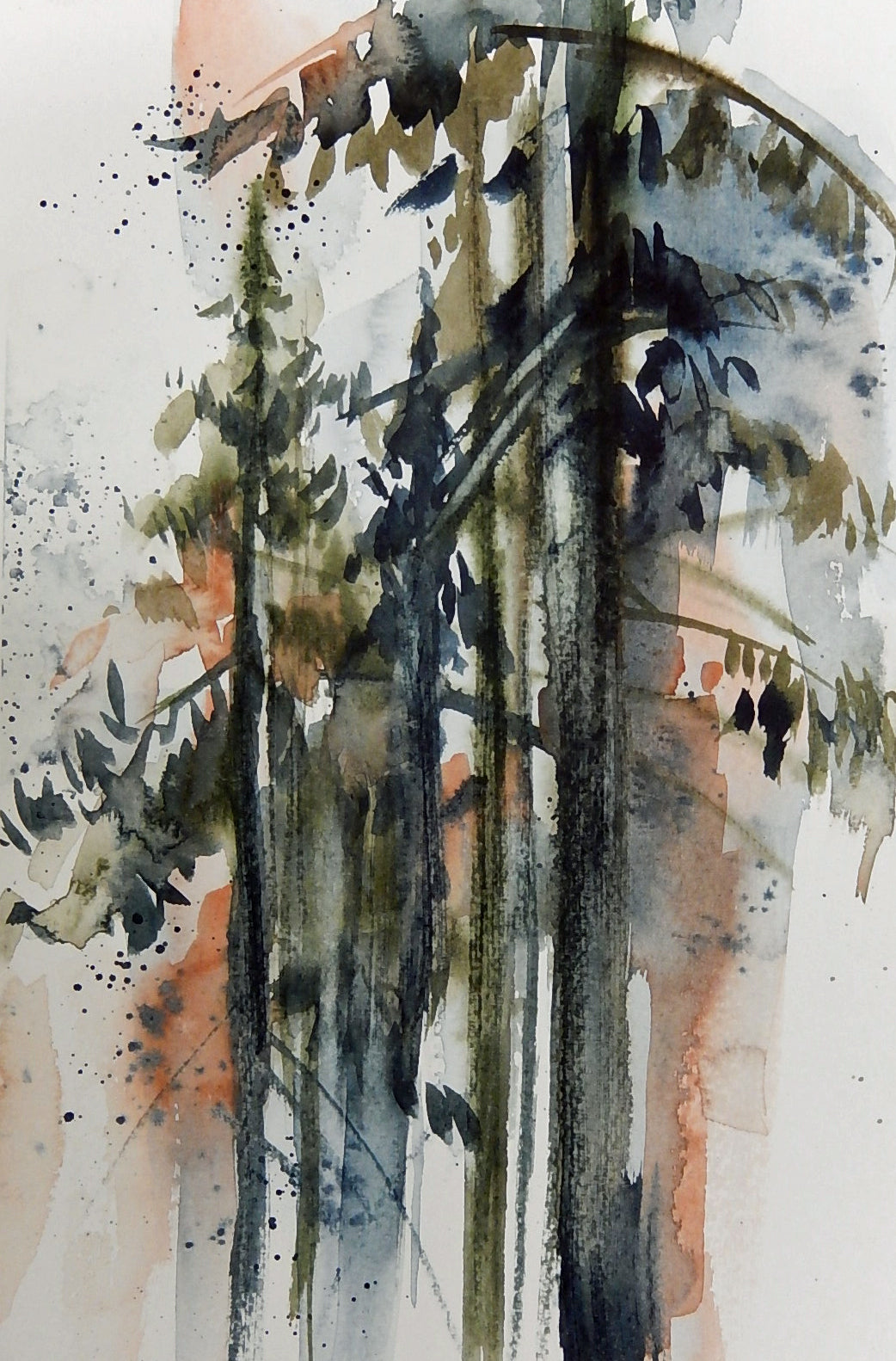 Study of Pine Trees 1