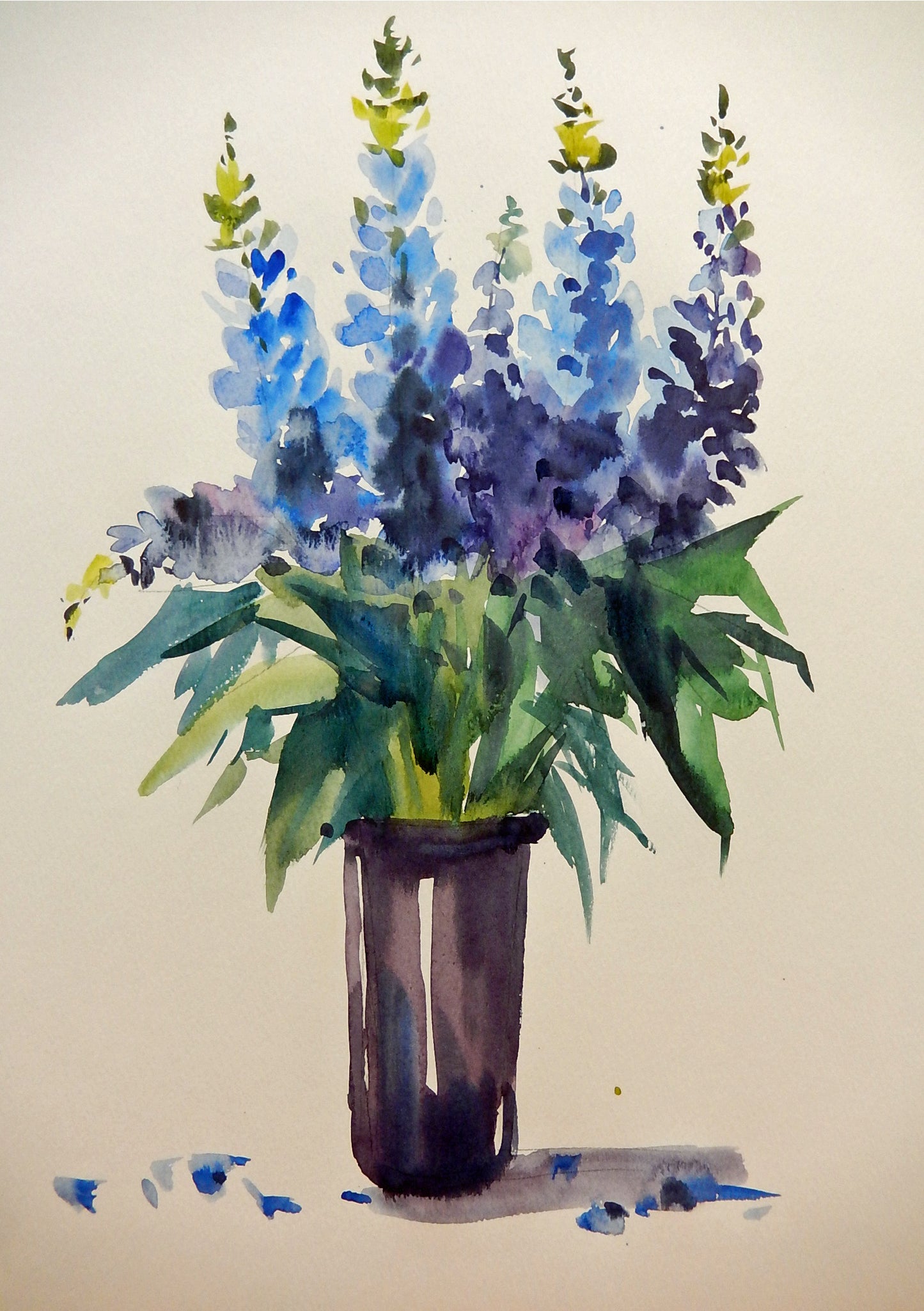 Delphiniums