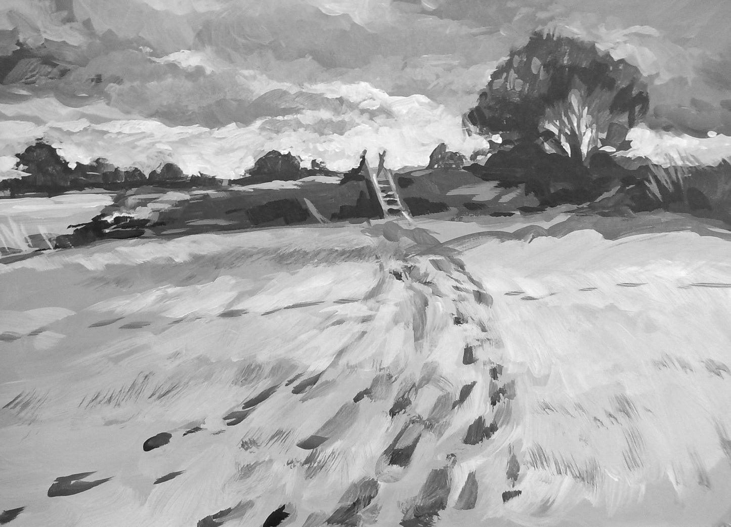 After the Snow Storm