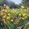 Buttercups in May