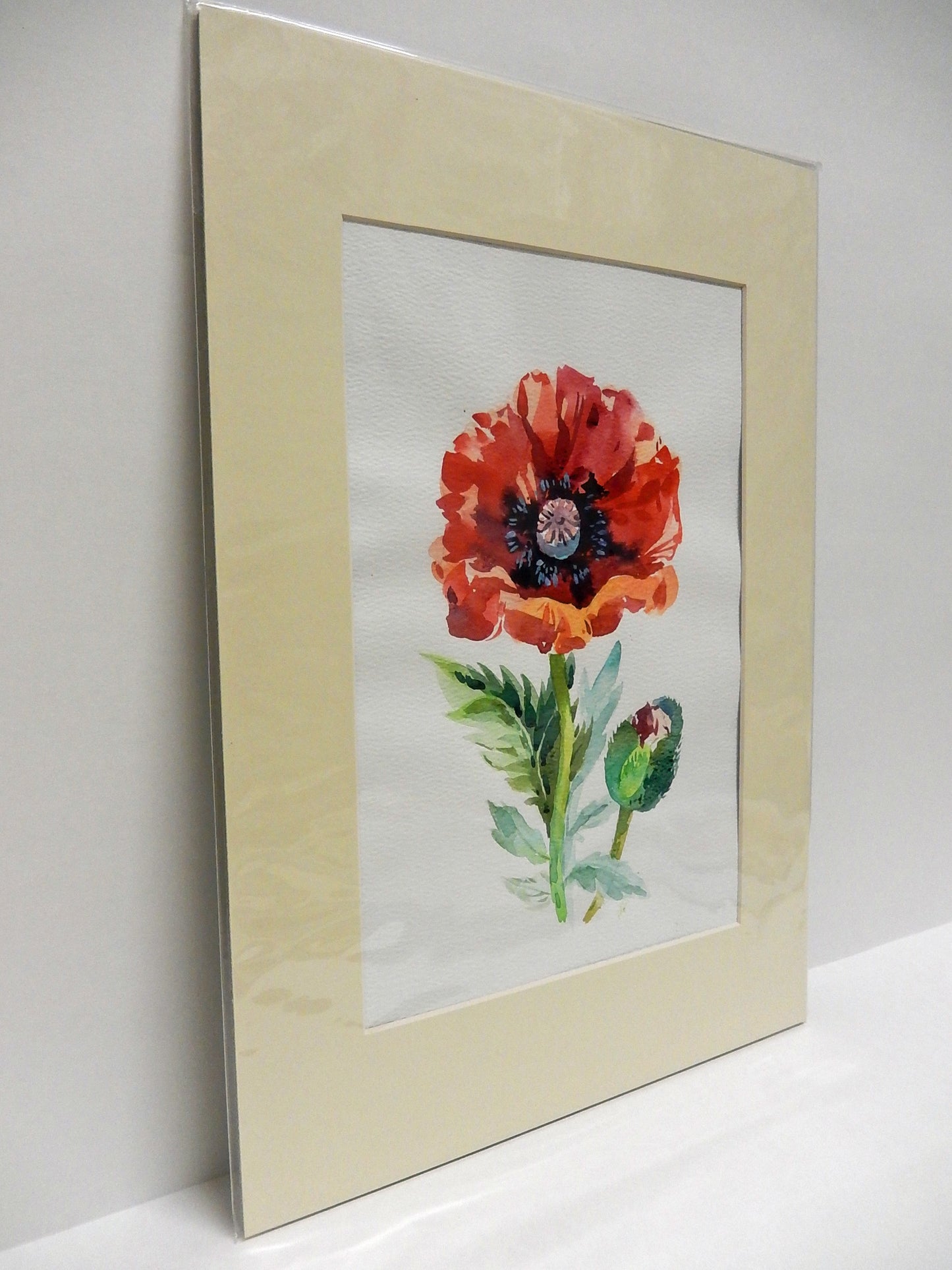 Poppy