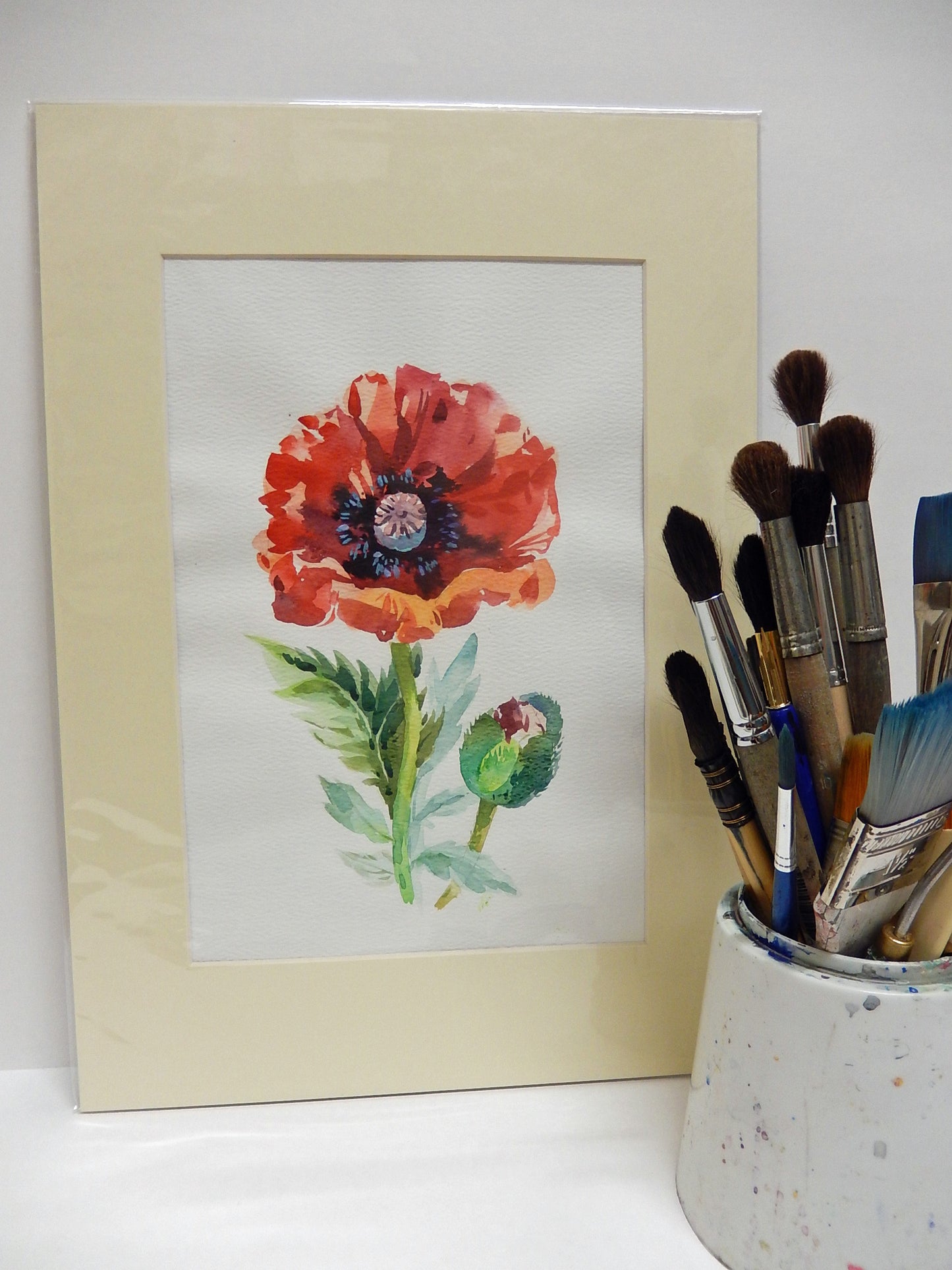 Poppy