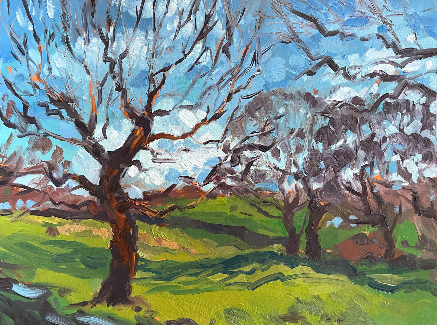 Study of Trees in March