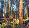 Denby Woods
